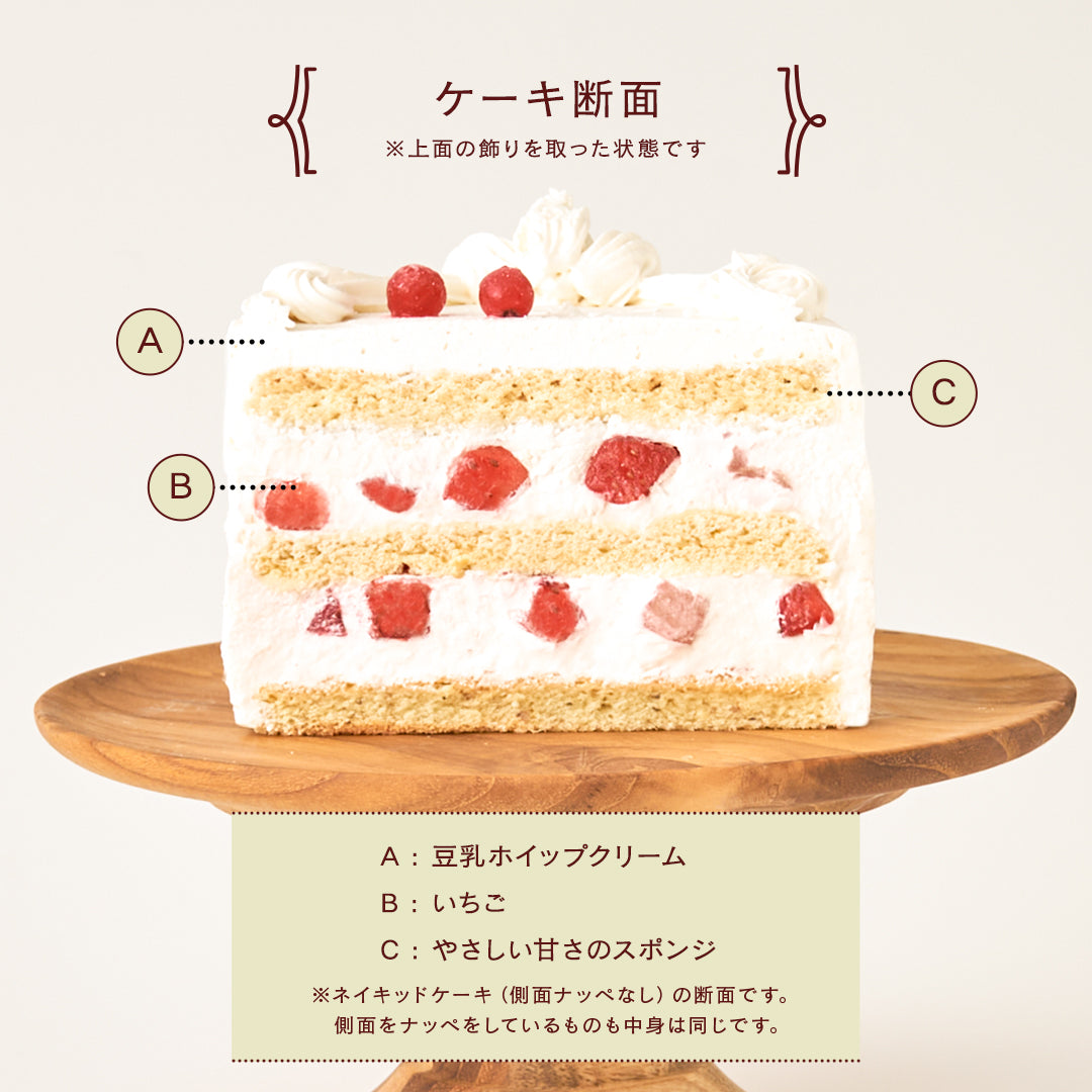 Snata Classical Oval / サンタのクラシカルオーバルケーキ